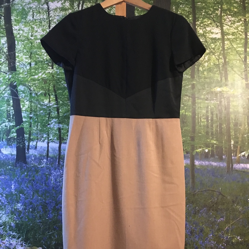 Brooks Brothers Dress